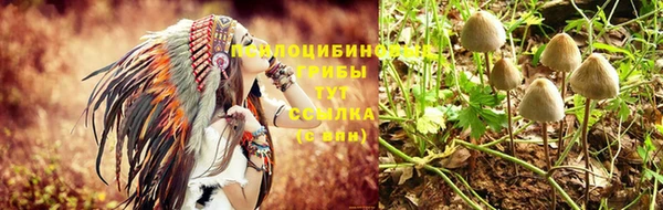 прущая мука Киреевск