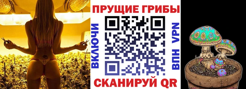 Купить закладки  Рязань  Галлюциногенные грибы ЛСД 